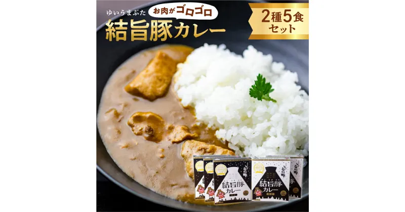 【ふるさと納税】白川郷 結旨豚カレー 5食セット 中辛 レトルト カレー 豚肉 ポークカレー ご当地カレー もも肉 バラ肉 食べ比べ セット ゆいうまぶた ブランド豚 吉野ジーピーファーム 国産豚 白川村 10000円 1万円 [S417]