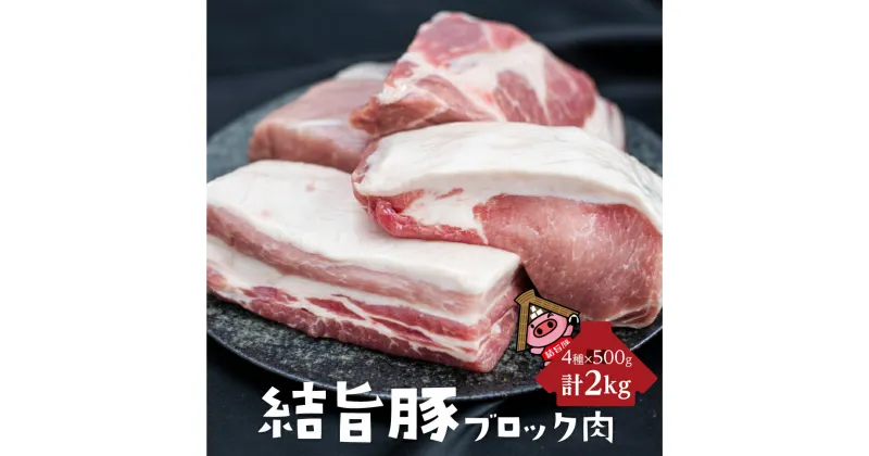 【ふるさと納税】白川郷 結旨豚 岐阜県産 ブロック肉 4種セット 計2kg 豚肉 ぶた肉 ブロック肉 国産肉 真空パック かたまり肉 肉 バーベキュー BBQ キャンプ ステーキ ロース 肩ロース バラ肉 もも肉 食べ比べ 抗生物質 合成抗菌剤不使用 14,000円 [S225]