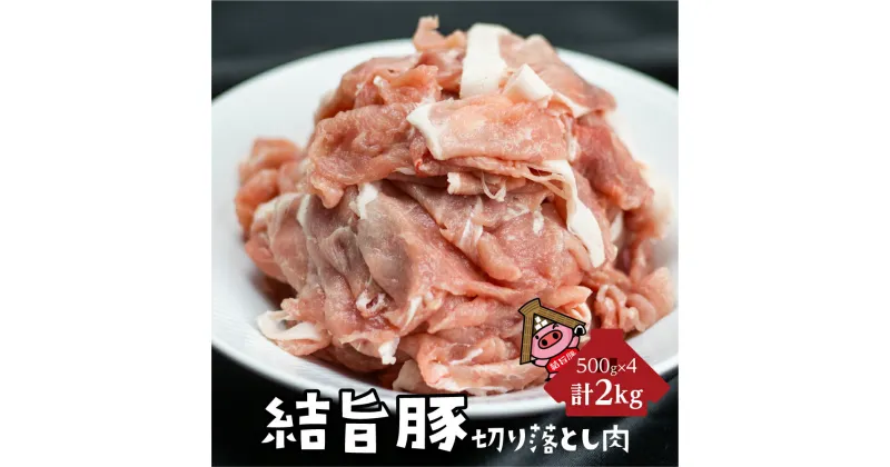 【ふるさと納税】白川郷 結旨豚 切り落とし 500g×4パック 計2kg 岐阜県産　訳あり　部位不揃い 豚肉 ぶた肉 国産肉 小分け 国産豚 10,000円 1万円 抗生物質 合成抗菌剤不使用 [S226]