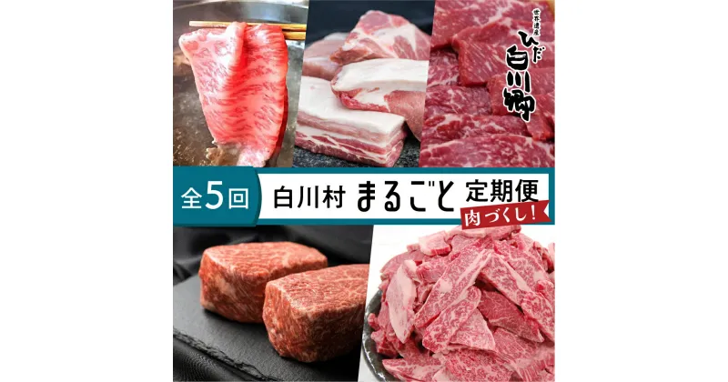 【ふるさと納税】白川郷 まるごと定期便 全5回 お届け 肉づくし ローススライス 結旨豚 ブロック肉 飛騨牛ブロック肉 焼肉用 もも肉 切り落とし 5種類 100000円 10万円 定期便 飛騨牛 豚肉 国産 牛 豚 焼肉 しゃぶしゃぶ [S249]