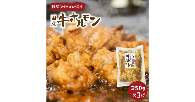 【ふるさと納税】 白川郷 自家製 牛ホルモン 250g×3袋セット 牛肉 国産牛ホルモン 味付け肉 味噌味 焼肉店 オリジナル 簡単 おつまみ 冷凍 味付き 白川村 てんから アウトドア BBQ 簡易梱包 訳あり 訳アリ 11000円 [S289]