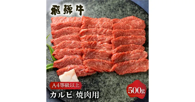 【ふるさと納税】白川郷 飛騨牛 カルビ（肩バラ肉）ブリスケット 焼肉用 500g 牛肉 国産 焼き肉 A4等級以上 A4 A5 等級 高山米穀 岐阜県 白川村 贅沢 冷凍 15000円 [S335]