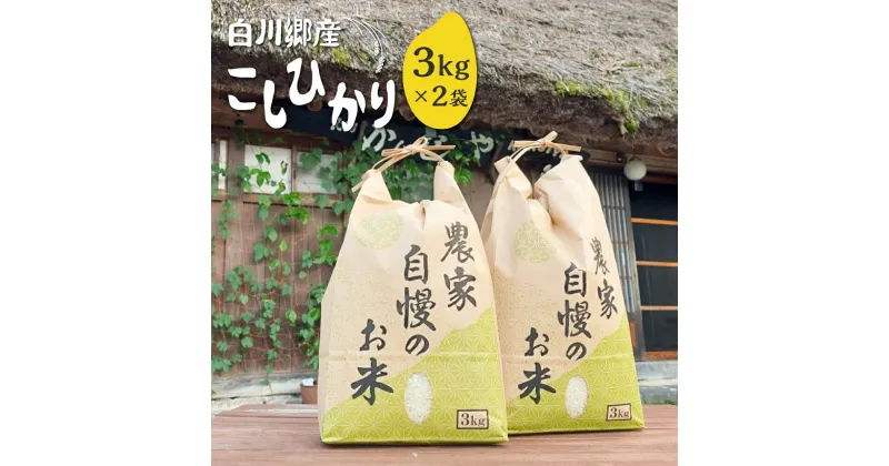 【ふるさと納税】新米 白川郷 こしひかり 3kg×2 計6kg 民宿 かんじゃ 自家製こしひかり コシヒカリ 白米 精米 令和6年産 白川村産 岐阜県産 13,000円 [S339]