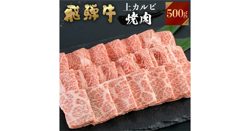 【ふるさと納税】飛騨牛 焼肉用 上カルビ 500g 焼き肉 焼肉 お中元 お歳暮 霜降り 肉 牛肉 霜降り肉 JA飛騨 BBQ バーベキュー お歳暮 ギフト　和牛 20000円 [S446]