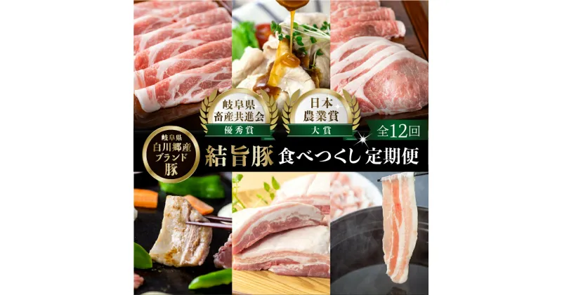 【ふるさと納税】定期便12回 結旨豚食べつくし 12か月 1年間 バラ ブロック ロース 肩ロース とんかつ用 生姜焼き用 しゃぶしゃぶ 焼肉 焼き肉 切り落とし モモ 国産 白川村産 真空パック 小分け 焼肉 ブランド豚 ゆいうまぶた 140000円 抗生物質 合成抗菌剤不使用 [S406]