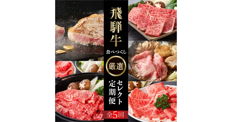 【ふるさと納税】《定期便5回》飛騨牛食べつくし厳選セレクト 5か月 焼肉 サーロイン肩ロース ロース モモ すき焼き しゃぶしゃぶ 食べ比べ 牛肉 国産 焼き肉 赤身 A4 A5 等級 だるまミート 岐阜県 白川村 贅沢 冷凍 135000円 お楽しみ [S407]