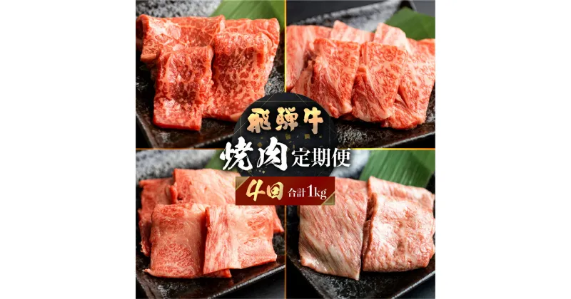 【ふるさと納税】飛騨牛 定期便 4回 焼肉 食べ比べ 250g×4回 焼き肉 牛肉 もも ロース バラ 肩ロース 毎月お届け バーベキュー BBQ JAひだ 40000円 [S401]