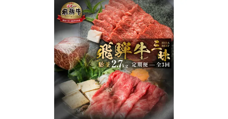 【ふるさと納税】《まるごと定期便》3回 総量2.7kg お届け 飛騨牛三昧 肉 700g 以上 肉づくし 白川郷 もも肉 ブロック肉 しゃぶしゃぶ すき焼き 85000円 国産 黒毛和牛 牛肉 焼肉 カルビ バラ A4 A5 肩 ロース 焼肉 赤身 霜降り 食べ比べ 岐阜県 白川村 お楽しみ [S525]