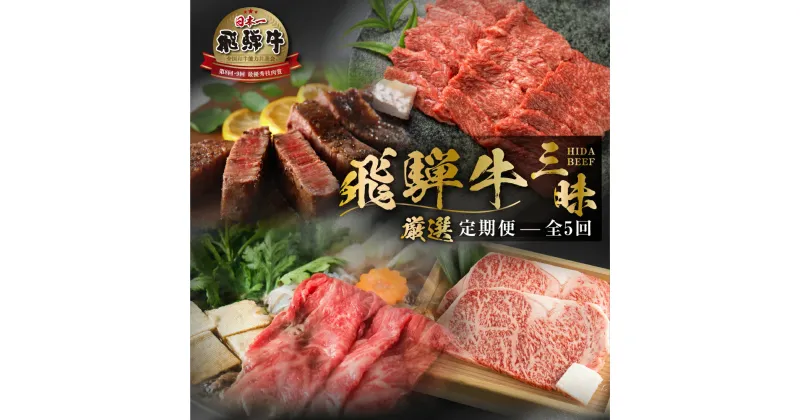 【ふるさと納税】《まるごと定期便》5回 厳選 お届け 飛騨牛 三昧 肉 肉づくし 白川郷 もも肉 切り落とし サーロイン ステーキ しゃぶしゃぶ すき焼き100000円 10万円 国産 焼肉 カルビ バラ 牛肉 A4 A5 肩 ロース 焼肉 赤身 霜降り 食べ比べ 岐阜県 白川村 お楽しみ [S526]