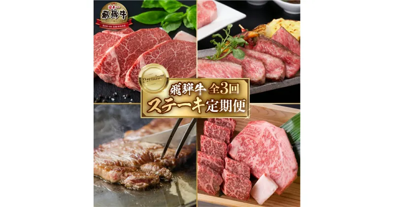 【ふるさと納税】 《定期便》飛騨牛 ステーキ 全3回 お届け 定期便 肉づくし 白川郷 ステーキ づくし もも肉 希少部位 ヒレ カイノミ サーロイン 食べ比べ 85000円 国産 黒毛和牛 牛 牛肉 A4 赤身 霜降り 岐阜県 白川村 JAひだ [S485]