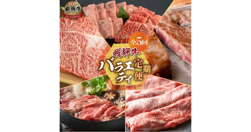 【ふるさと納税】 《定期便》バラエティ 全5回 お届け 定期便 肉づくし 白川郷 焼肉用 もも肉 切り落とし サーロイン ステーキ しゃぶしゃぶ すき焼き 食べ比べ 95000円 国産 黒毛和牛 牛 牛肉 焼肉 A4 赤身 霜降り 岐阜県 白川村 JAひだ[S487]