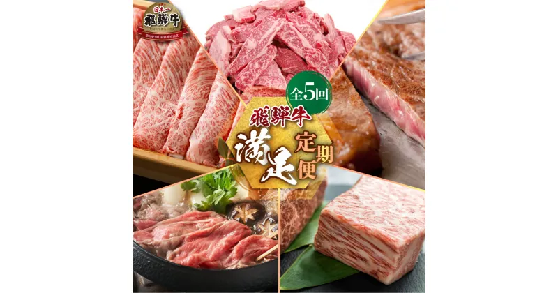 【ふるさと納税】 《定期便》満足 全5回 総量4.4kg お届け 飛騨牛 定期便 肉づくし 白川郷 ブロック おまかせ 焼肉 もも肉 切り落とし サーロイン ステーキ しゃぶしゃぶ すき焼き 食べ比べ 150000円 15万円 国産 黒毛和牛 牛肉 A4 赤身 霜降り JAひだ お楽しみ [S488]