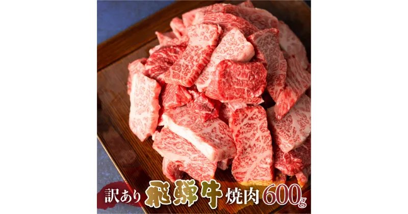 【ふるさと納税】 訳あり 飛騨牛 焼肉 切落し 600g 切り落とし 部位お任せ 肉 牛肉 お肉 和牛 冷凍 岐阜県 等級 お任せ BBQ 国産 不揃い ブランド牛 17000円 [S540]