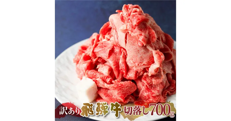 【ふるさと納税】 訳あり 飛騨牛 切落し 700g 切り落とし 部位お任せ 肉 牛肉 お肉 和牛 冷凍 岐阜県 等級 お任せ 炒め物 牛丼 国産 不揃い ブランド牛 11000円 [S541]