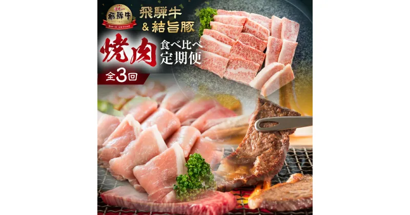 【ふるさと納税】 飛騨牛 & 結旨豚 定期便 3回 お届け 白川郷 焼肉 焼き肉 やきにく もも ロース カルビ 赤身 霜降り 食べ比べ 肉 牛肉 国産 A4 A5 等級 てんから 岐阜県 白川村 ゆいうまぶた 贅沢 BBQ アウトドア 冷蔵 簡易梱包 のため 訳あり 訳アリ 50000円 5万円 [S575]