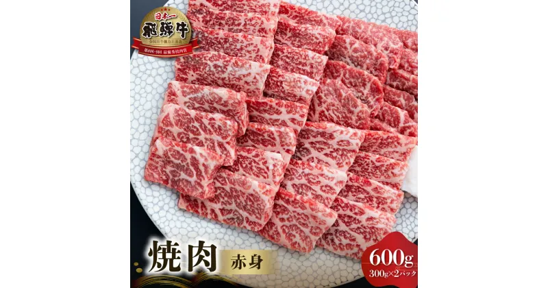 【ふるさと納税】 飛騨牛 赤身 焼肉用 600g (300g×2）牛肉 国産 焼き肉 A4等級以上 A4 A5 等級 高山米穀 岐阜県 白川村 白川郷 贅沢 冷凍 30000円 [S551]