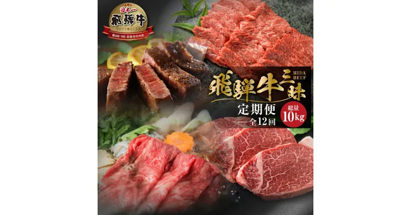 【ふるさと納税】総量約 10kg 《まるごと定期便》12回 飛騨牛三昧 大容量 お届け 肉 肉づくし 白川郷 もも肉 しゃぶしゃぶ すき焼き 500000円 50万 国産 黒毛和牛 牛肉 焼肉 カルビ バラ ヒレ ステーキ A4 A5 肩 ロース 焼肉 赤身 霜降り 食べ比べ 岐阜県 お楽しみ [S600]