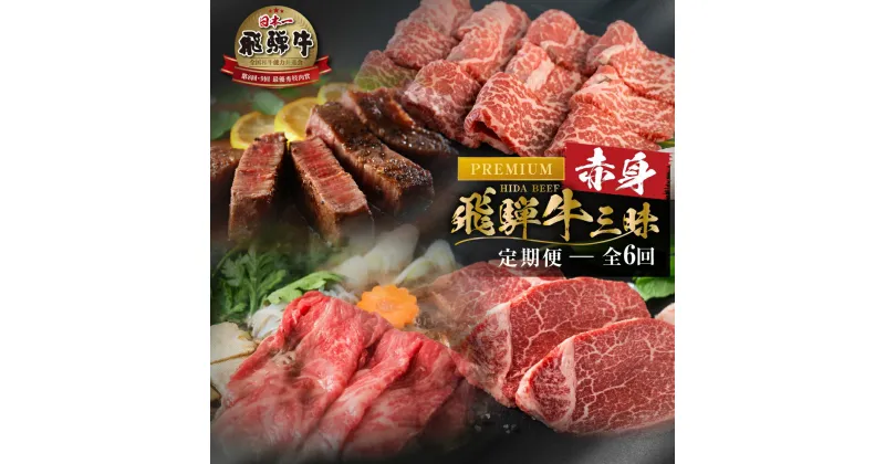 【ふるさと納税】《まるごと定期便》6回 お届け 飛騨牛 赤身三昧 プレミアム 肉 肉づくし 白川郷 ヒレ ステーキ しゃぶしゃぶ すき焼き 187000円 国産 黒毛和牛 牛肉 和牛 焼肉 ブロック A4 A5 肩 ロース 赤身 鍋 なべ 食べ比べ 岐阜県 お楽しみ [S605]