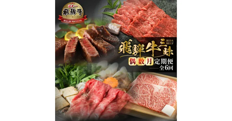 【ふるさと納税】《まるごと定期便》6回 偶数月 厳選 お届け 飛騨牛 三昧 肉 肉づくし 白川郷 もも肉 切り落とし サーロイン ステーキ しゃぶしゃぶ すき焼き120000円 12万円 国産 焼肉 カルビ 牛肉 A4 A5 ロース 焼肉 赤身 霜降り 食べ比べ 岐阜県 白川村 お楽しみ [S632]