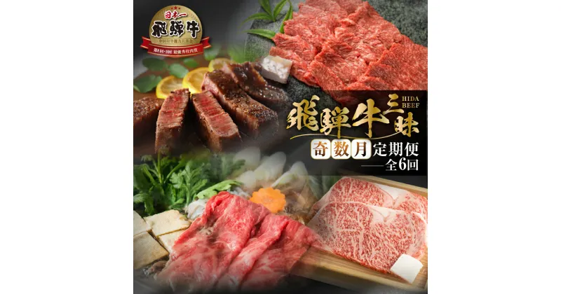 【ふるさと納税】《まるごと定期便》6回 奇数月 厳選 お届け 飛騨牛 三昧 肉 肉づくし 白川郷 もも肉 切り落とし サーロイン ステーキ しゃぶしゃぶ すき焼き120000円 12万円 国産 焼肉 カルビ 牛肉 A4 A5 ロース 焼肉 赤身 霜降り 食べ比べ 岐阜県 白川村 お楽しみ [S633]