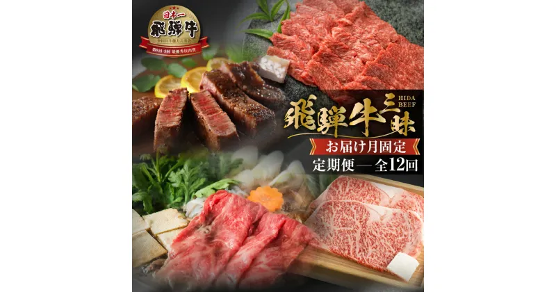 【ふるさと納税】《まるごと定期便》12回 固定月 厳選 お届け 飛騨牛 三昧 肉 肉づくし 白川郷 もも肉 切り落とし サーロイン ステーキ しゃぶしゃぶ すき焼き300000円 30万円 国産 焼肉 カルビ 牛肉 A4 A5 ロース 焼肉 赤身 霜降り 食べ比べ 岐阜県 白川村 お楽しみ [S634]