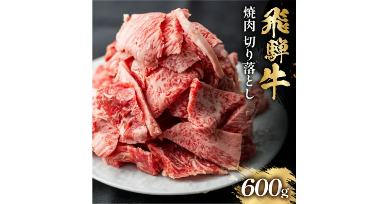 【ふるさと納税】飛騨牛 焼肉 切り落とし 600g 訳あり 訳アリ 不揃い カルビ 牛肉 肉 バーベキュー BBQ 和牛 贈答 ギフト 焼き肉 切り落とし わけあり ふぞろい ワケアリ 駿河屋 15000円 おすすめ 岐阜県 白川村 [S767]