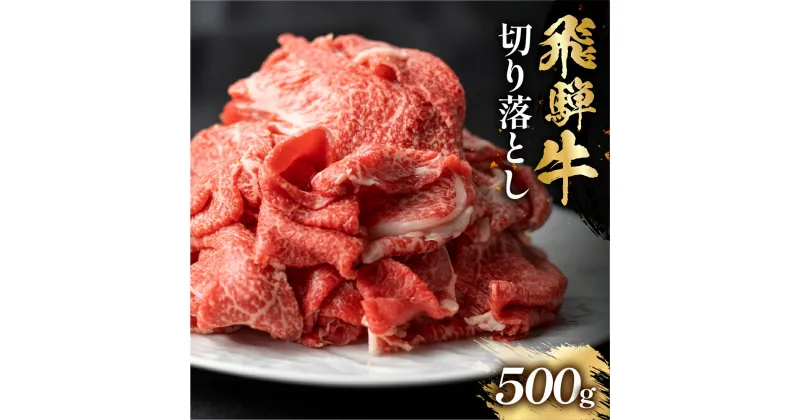 【ふるさと納税】飛騨牛 切り落とし 500g スライス 切落し 和牛 すき焼き すきやき 鍋 訳あり 訳アリ 不揃い 肉 お肉 にく 切り落とし 牛肉 おすすめ ワケアリ 駿河屋 岐阜県 白川村 10000円 [S768]