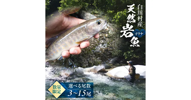 【ふるさと納税】尾数が選べる 白川村産 天然岩魚 イワナ 3尾 5尾 7尾 10尾 15尾 18cm以上 岩魚 天然 いわな イワナ 魚 川魚 BBQ バーベキュー アウトドア 岐阜県 白川郷 世界遺産 塩焼き 5000円 10000円 15000円 20000円 30000円 [S801]