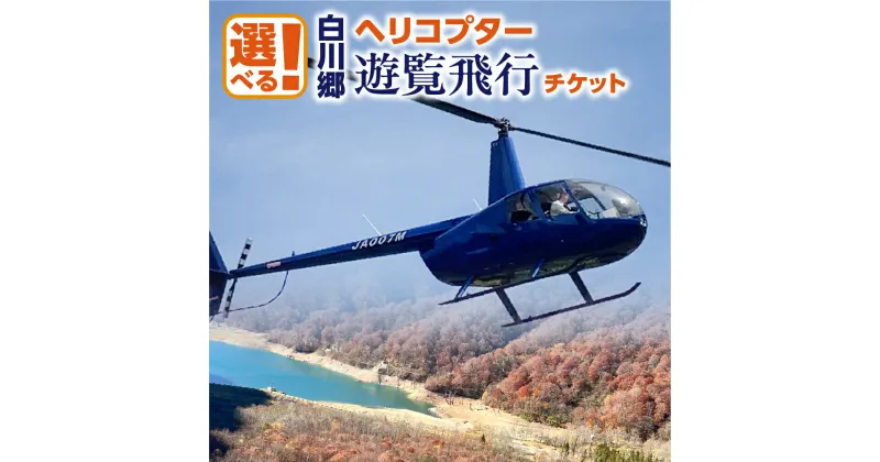 【ふるさと納税】選べる 白川郷 ヘリコプター 遊覧飛行 チケット 1～3名様 旅行券 旅行 自然 ペアチケット クルーズ クルージング 体験 記念日 プレゼント GW 夏休み 連休 紅葉 岐阜県 白川村 世界遺産 観光 観光地応援 87000円 110000円 167000円 200000円 340000円 [S806]