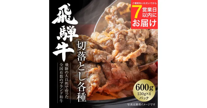 【ふるさと納税】飛騨牛 切落とし 600g（約150g×4パック） 冷凍真空パック | 肉 お肉 すき焼き すきやき しゃぶしゃぶ 黒毛和牛 和牛 個包装 小分け 牛肉 ギフト お取り寄せ [MZ001]