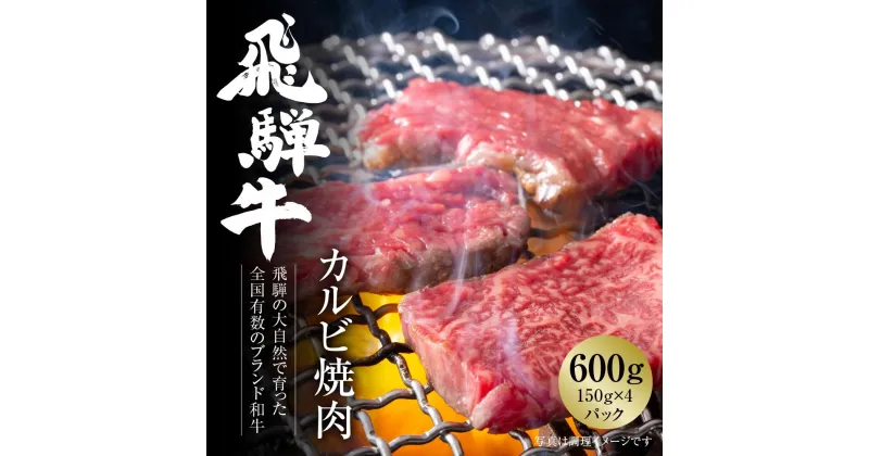 【ふるさと納税】飛騨牛 カルビ焼肉 600g（150g×4パック） 冷凍真空パック | 肉 お肉 焼肉 焼き肉 やきにく 黒毛和牛 和牛 個包装 小分け 人気 おすすめ 牛肉 ギフト お取り寄せ [MZ005]