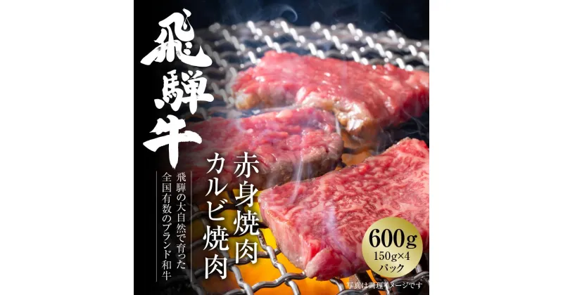 【ふるさと納税】飛騨牛 焼肉 厳選2種盛（赤身・カルビ） 600g（150g×各2パック） 冷凍真空パック | 肉 お肉 焼肉 焼き肉 やきにく 黒毛和牛 和牛 個包装 小分け 人気 おすすめ 牛肉 ギフト お取り寄せ [MZ008]