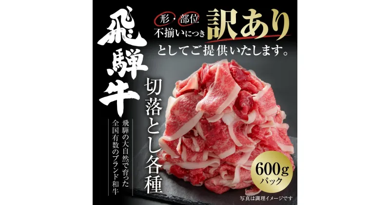 【ふるさと納税】訳あり 飛騨牛 切落とし 600g 冷凍真空パック | 肉 お肉 切り落とし 薄切り すき焼き すきやき 黒毛和牛 和牛 人気 おすすめ 牛肉 ギフト お取り寄せ 7日以内お届け [MZ011]