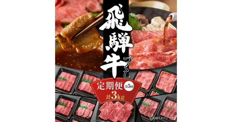 【ふるさと納税】【定期便】飛騨牛 全5回（焼肉・すき焼き・ステーキ）計3kg | 焼肉 ステーキ カルビ 食べ比べ 牛 飛騨高山ミート 113000円 [MZ100]