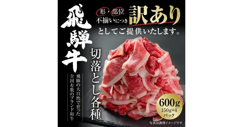 【ふるさと納税】訳あり 飛騨牛 切落とし 600g（150g×4パック） 冷凍真空パック | 肉 お肉 切り落とし すき焼き すきやき 黒毛和牛 和牛 個包装 小分け 人気 おすすめ 牛肉 ギフト お取り寄せ【MZ012】