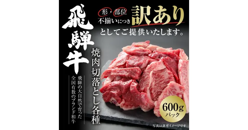 【ふるさと納税】訳あり 飛騨牛 焼肉 切り落とし 600g 冷凍真空パック | 肉 お肉 切落し 不揃い 焼肉 焼き肉 やきにく 黒毛和牛 和牛 人気 おすすめ 牛肉 ギフト お取り寄せ 飛騨高山ミート [MZ013]