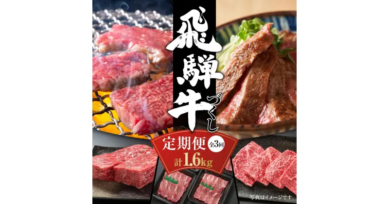 【ふるさと納税】【定期便】飛騨牛（全3回）（ステーキ /焼肉 / ブロック[塊] ) 計1.6kg 全3回 | 焼肉 ステーキ カルビ 牛 飛騨高山ミート 58000円 [MZ101]