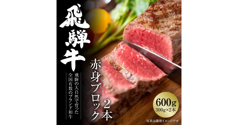 【ふるさと納税】飛騨牛 赤身ブロック[塊] 600g（300g×2） 冷凍真空パック | 肉 お肉 ローストビーフ 煮込み 焼肉 焼き肉 やきにく BBQ 黒毛和牛 和牛 人気 おすすめ 牛肉 ギフト お取り寄せ 7日以内お届け 飛騨高山ミート [MZ021]