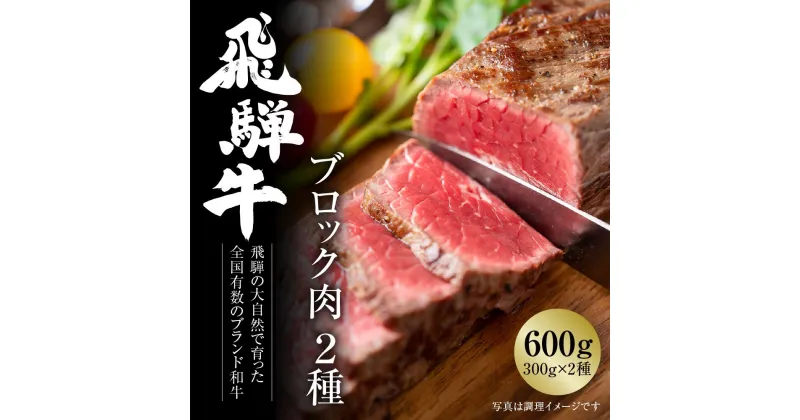 【ふるさと納税】飛騨牛 ブロック肉[塊]2種 600g（霜降り/赤身 300g×2種） 冷凍真空パック | 肉 お肉 ローストビーフ 煮込み 焼肉 焼き肉 やきにく BBQ 黒毛和牛 和牛 食べ比べ 人気 おすすめ 牛肉 ギフト お取り寄せ 7日以内お届け 飛騨高山ミート [MZ023]