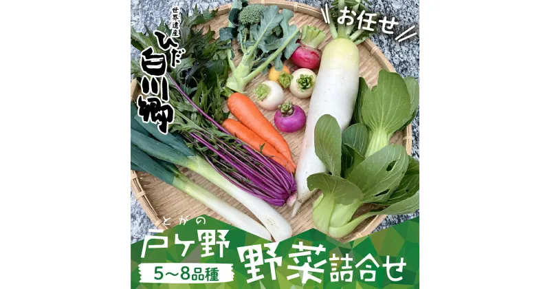 【ふるさと納税】【数量限定】先行予約 戸ヶ野の野菜セット 5～8種 白川村 白川郷 野菜 品種 お任せ 詰め合わせ 秋野菜 旬 戸ヶ野野菜詰め合わせ 5～8種セット 大根 かぶ ねぎ 人参 白菜 水菜 春菊 レタス ブロッコリー など 大田ファーム 2024年11月～順次発送 [S695a]