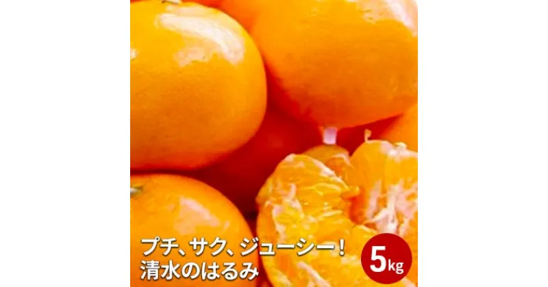 【ふるさと納税】【2025年2月上旬より順次発送】プチ、サク、ジューシー！清水のはるみ 5kg 【配送不可：離島】 | 果物類・柑橘類・フルーツ・みかん