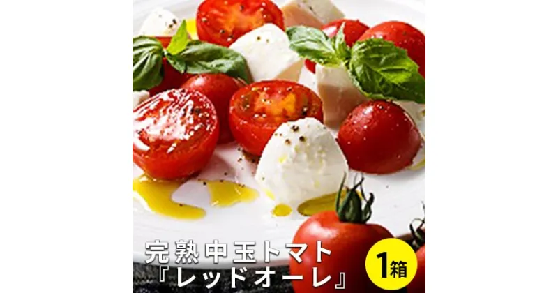 【ふるさと納税】【12月より順次発送】完熟中玉トマト『レッドオーレ』1箱 5,000円 | 野菜・トマト