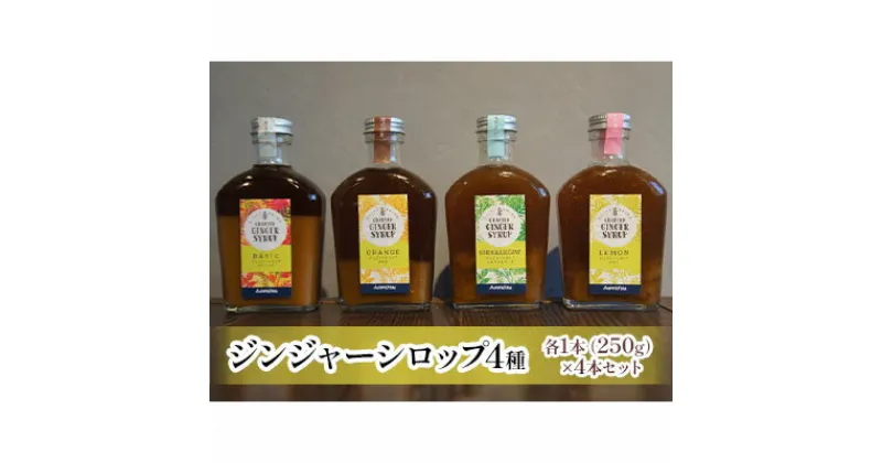 【ふるさと納税】ジンジャーシロップ4種セット | 飲料・ドリンク・ジンジャーシロップ・生姜・シロップ