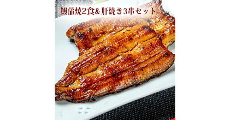 【ふるさと納税】〈うなぎの篝火〉国産うなぎ真空パック蒲焼2食・鰻肝焼き3串セット 【配送不可：離島】 | うなぎ・鰻・ウナギ・真空パック