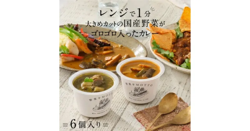 【ふるさと納税】レンジで1分 野菜をMOTTO スープ カレー 3種 6個セット レトルト インスタント 国産 ダイエット ベジMOTTOスープ 具だくさん 時短 手軽 | 贅沢カレー 常温保存 ストック グリーンカレー チリコンカンカレー 野菜スープカレー ランチ 軽食 夜食