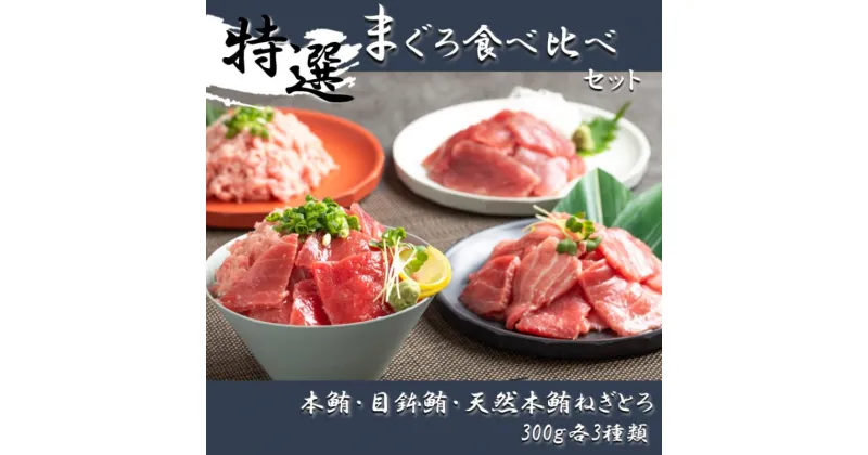 【ふるさと納税】まぐろ食べ比べセット 計900g (300g 3種)：本鮪切落し300g メバチ鮪切落し300g 天然本鮪ねぎとろ300g【静岡市清水】冷凍 マグロ たたき ネギトロ丼 手巻き寿司 小分け 即席 海の幸 【配送不可：離島】 | 魚貝類 海鮮 寿司ネタ つまみ