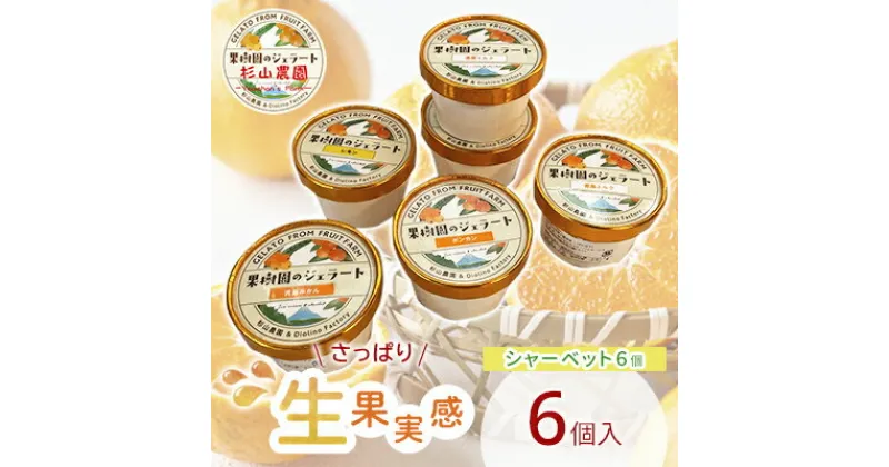 【ふるさと納税】果樹園のジェラート 夏にさっぱりシャーベット6個セット 100ml×6個 冷凍 ギフト アイスクリーム シャーベット | スイーツ ひんやりスイーツ フルーツジェラート みかん オレンジ レモン いちご