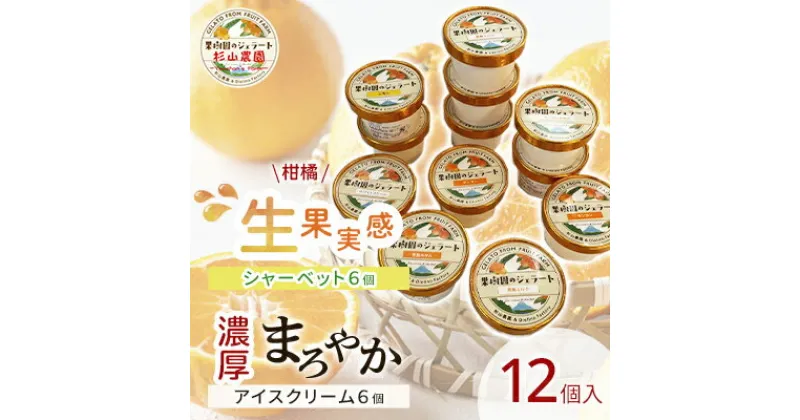 【ふるさと納税】果樹園のジェラート 柑橘食べ比べ12個セット 100ml×12個 冷凍 ギフト アイスクリーム シャーベット | スイーツ ひんやりスイーツ フルーツジェラート フルーツアイス さっぱり