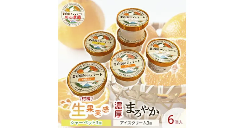 【ふるさと納税】果樹園のジェラート 柑橘食べ比べ6個セット 100ml×6個 冷凍 ギフト アイスクリーム シャーベット | スイーツ ひんやりスイーツ フルーツジェラート フルーツアイス