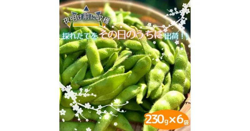 【ふるさと納税】【生鮮】茶豆風味の枝豆「英」～はなぶさ～ 230g×6袋入り | 風味豊か 最高の鮮度 新鮮枝豆 静岡県産 産地直送 おつまみ